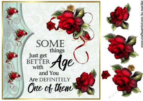 Birthday Wishes 2 Quick Card 
