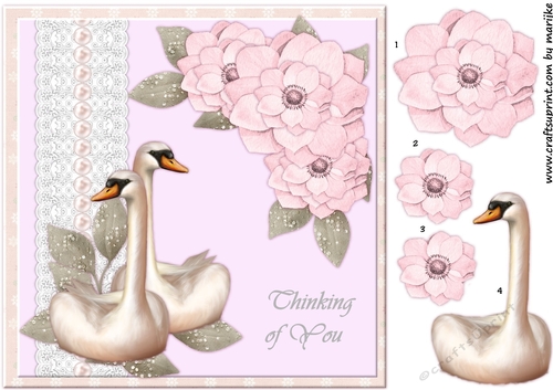Thingking of you  Swans & Flowers 
