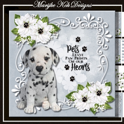  Paw Prints Birthday Card Mini Kit