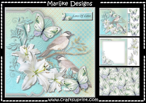 Beautiful Birds & Butterflies Mini Kit