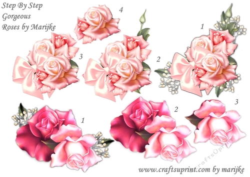 Step By Step Gorgeous roses