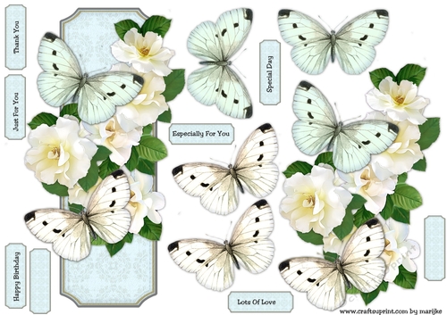 Card Topper Wild  Roses & Butterflies