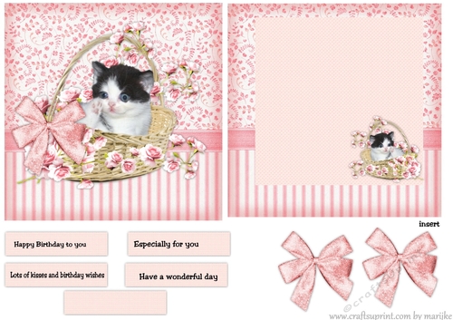 Topper & Insert Cute Kitten