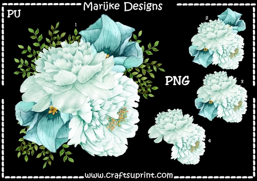 PU Peonies Blossoms In Mint PNG Clipart