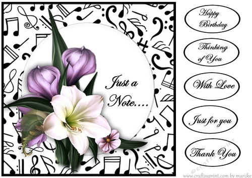 Just a Note Amaryllis  Card Topper
