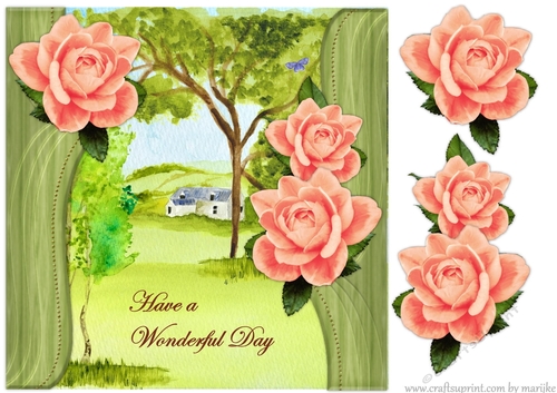 Beautiful  Summer Roses Quick card