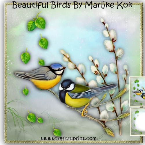 Beautiful Birds Mini Kit