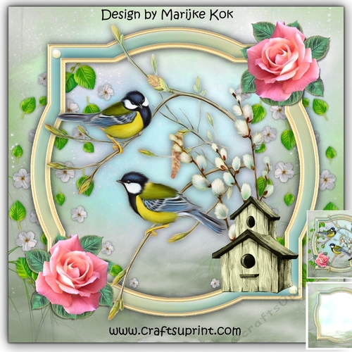 Precious Birds Mini Kit