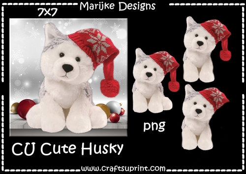 CU DR Cute Husky