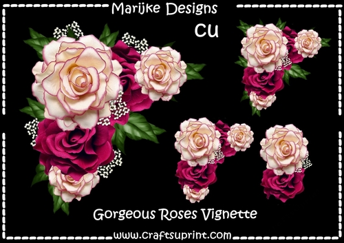 Gorgeous Roses  CU DR