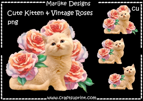  CU DR Cute Kitten & Vintage Roses 