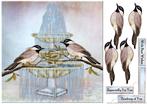 Fountain &  Grey  Birds Quick Card