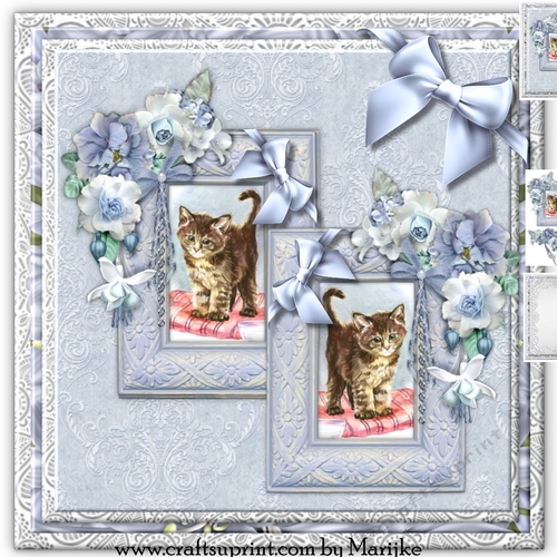 Purrrfect Birthday Mini Kit