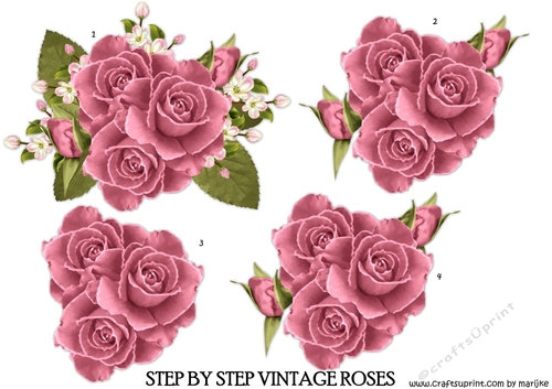 Step by Step Vintage Roses