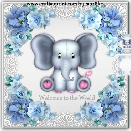 Welcome baby Boy Mini kit