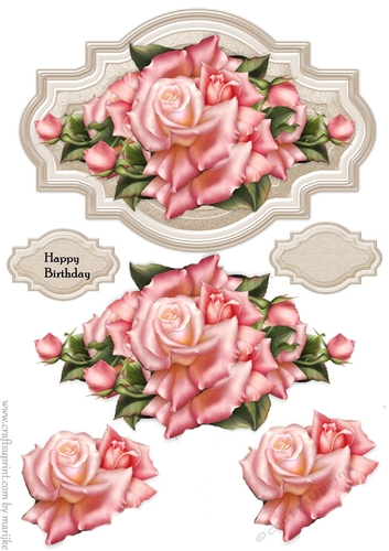 Shield English Roses