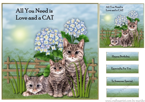All You Need Is Love And A CAT