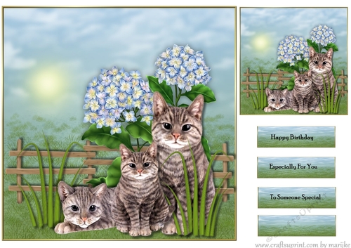 Cute cats in the garden