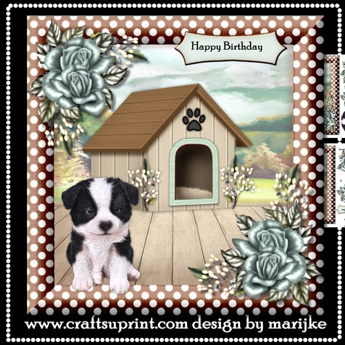 Cute  Border Collie Puppy Birthday Card