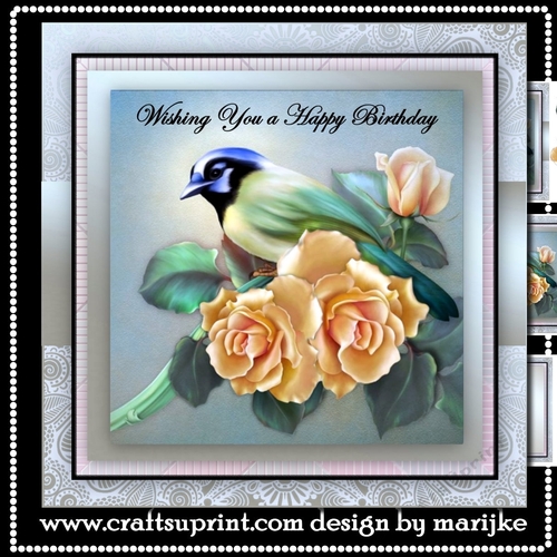 Birthday Bird   Mini Kit