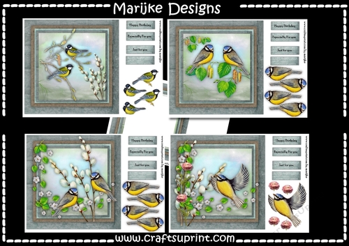 Bumperkit Birds Are Beautiful