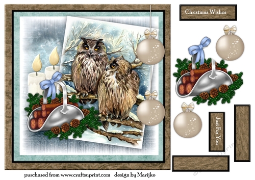 Male card Christmas  Owls