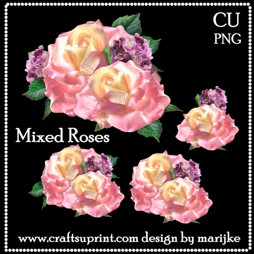 CU DR Mixed Roses