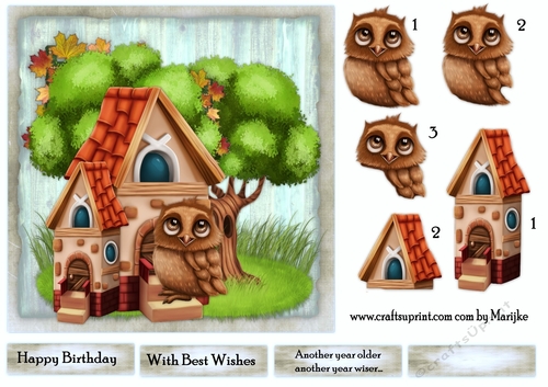 Male card Wise Owl 
