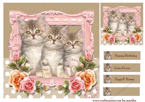Cute Kittens Birthday Card Topper 3