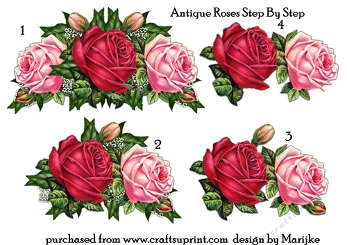 Step By Step Antique Roses