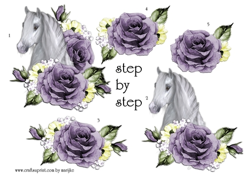 Step By Step Arabian Horse & Roses 1