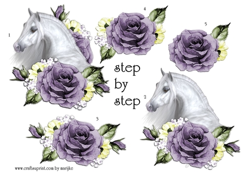 Step By Step Arabian Horse & Roses 2