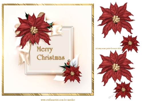  Christmas  Poinsettias Quick card