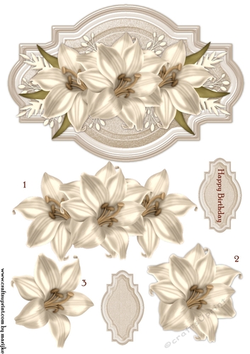 Label Cream Lilies
