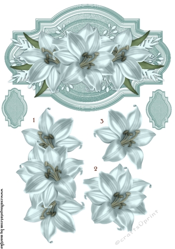 Label Blue Lilies
