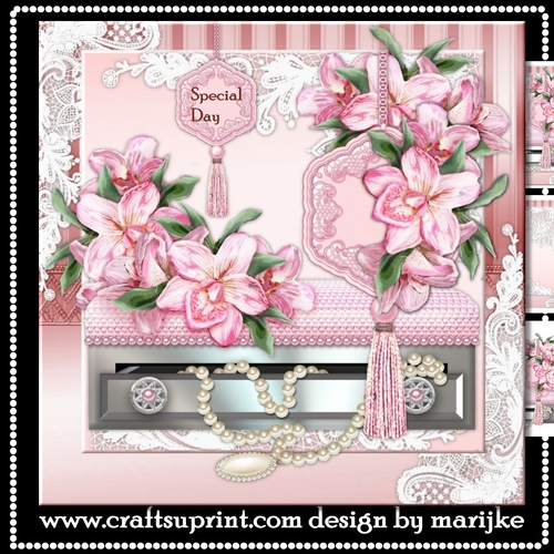Elegant Pink Orchids Min Kit