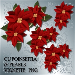 CU Poinsettias & Pearls Vignette