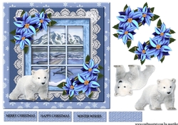 Cute Ice Bear