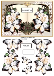 ClassicSympathy Book