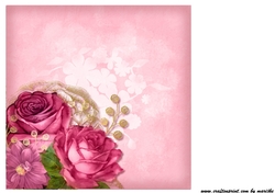 Insert Vintage Roses in Pink 4