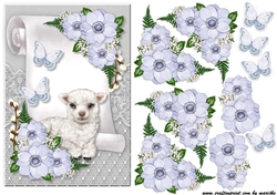 Bautiful Flowers & Little lamb  A5