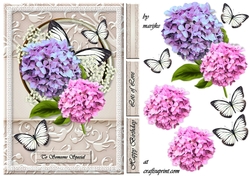 Hydrangeas A5