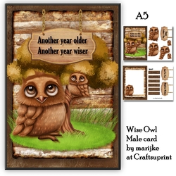 A5  Male Card Wise Owl 