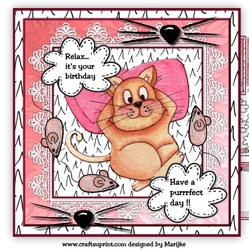 Funny Birthday Cat Mini Kit