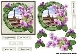 Petit Card Paris & Orchids