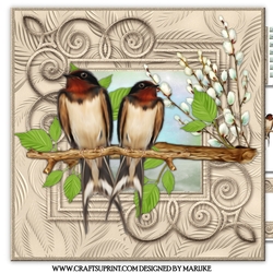 Male Card Beautiful Birds Mini Kit