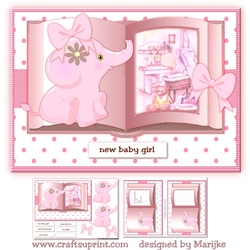 Baby Girl Book Mini Kit