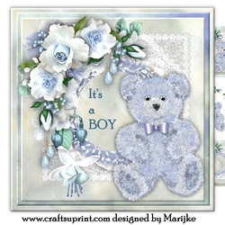 Cute Teddie Baby Boy Mini Kit