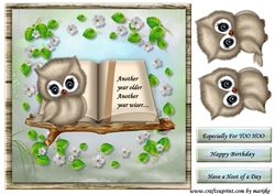 Cute Owl Another Year Older Quick card