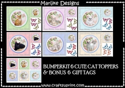 Bumperkit Cat Toppers